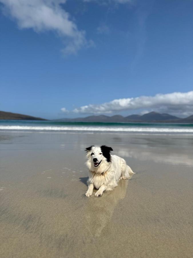 Kinnoull House Near Stornoway Hot-Tub Sauna Pet Friendly Garrabost Buitenkant foto